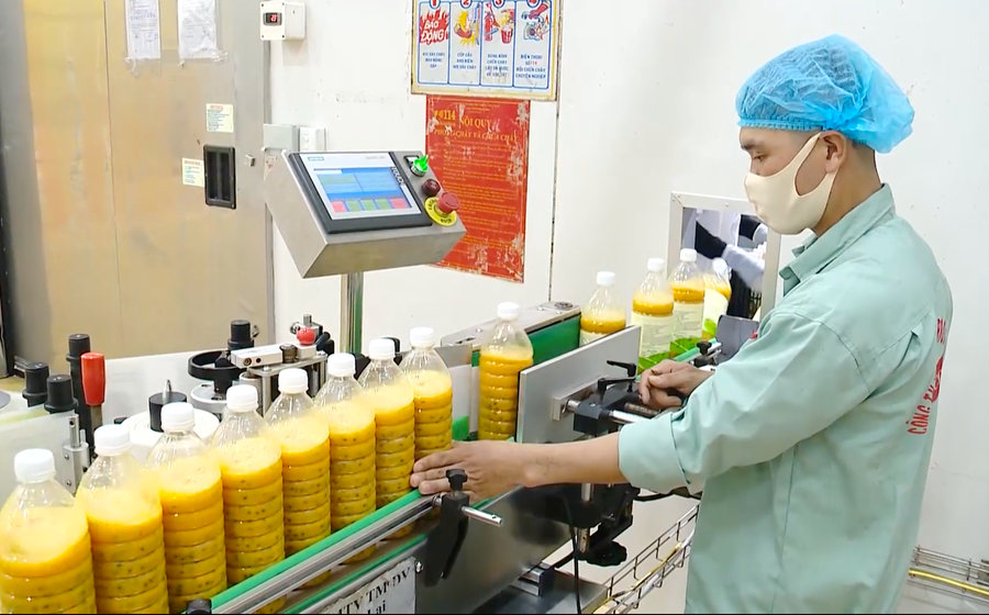 Nhà máy chế biến rau củ quả Đồng Giao