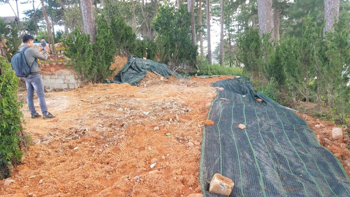 Khu vực tác động đến diện tích đất rừng được che chắn lưới đen nhằm 