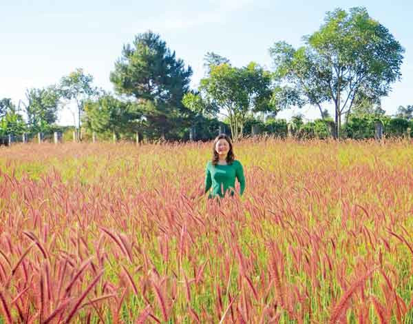 Ảnh minh họa: Bé Nguyên