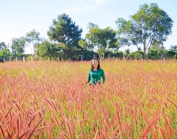 Ảnh minh họa: Bé Nguyên