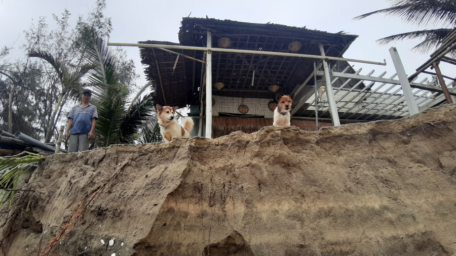 Các hàng quán, cơ sở kinh doanh chỉ xây dựng tạm bợ nên khi gió bão vào rất dễ bị đánh sập.