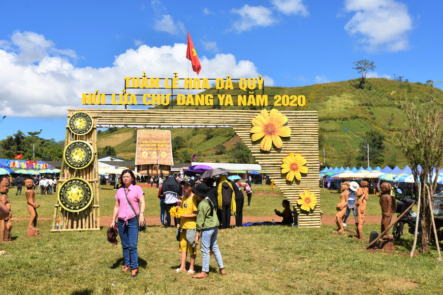 Tuần lễ hoa dã quỳ-Núi lửa Chư Đang Ya năm 2020 diễn ra từ ngày 20 đến 26-11. Ảnh: Nguyễn Giang