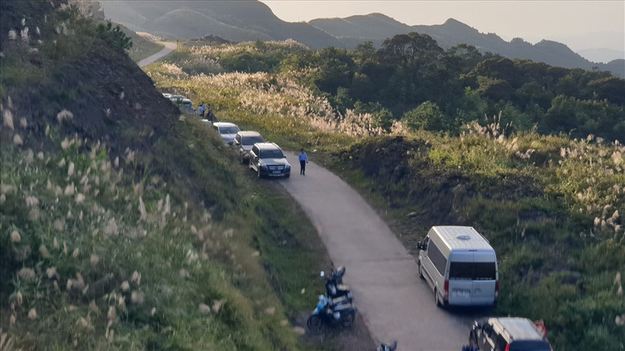 Dập dìu xe, du khách tới các điểm có hoa lau. Ảnh: Nguyễn Hùng