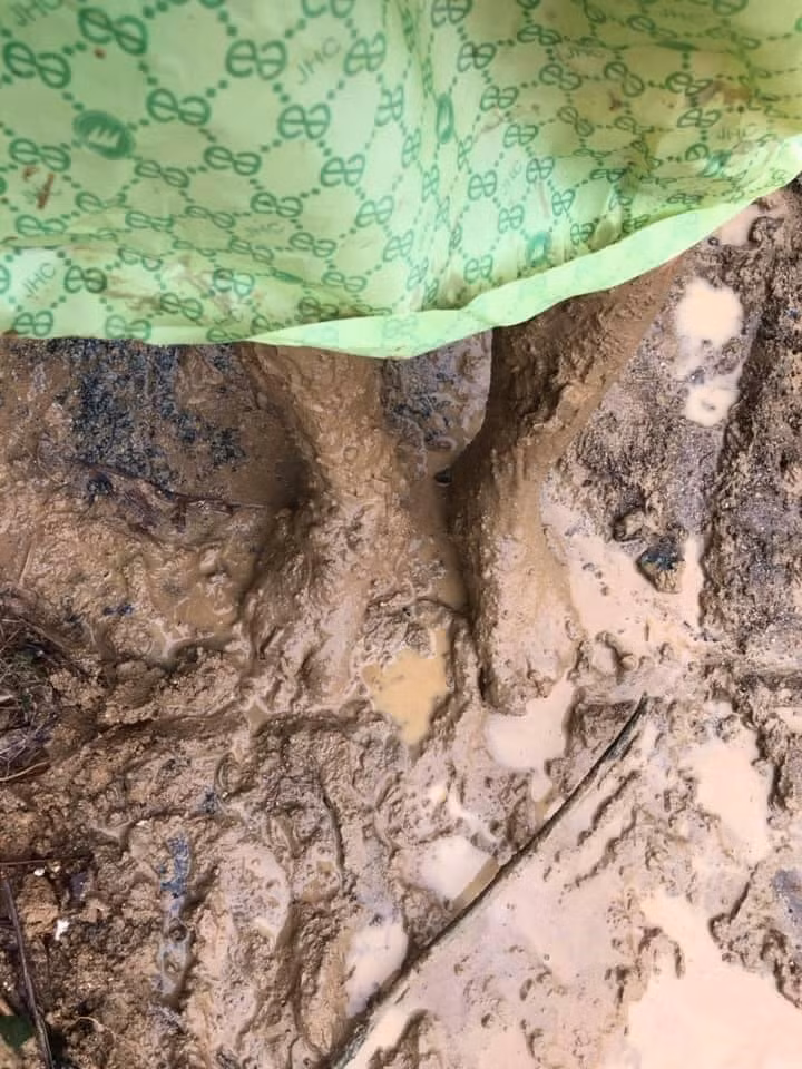  Đôi chân lấm lem bùn đất của một giáo viên ở xã Trà Bui. Ảnh: Kim Thoa