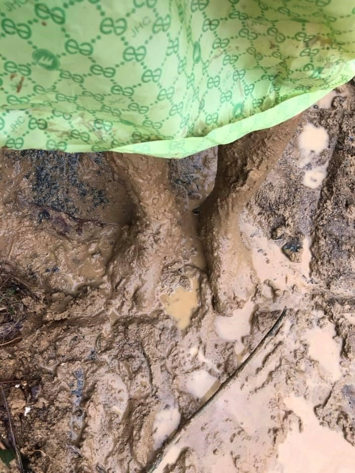 Đôi chân lấm lem bùn đất của một giáo viên ở xã Trà Bui. Ảnh: Kim Thoa  Đôi chân lấm lem bùn đất của một giáo viên ở xã Trà Bui. Ảnh: Kim Thoa