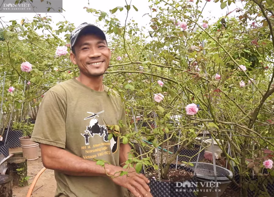Anh Từ Hiếu (khối phố Quảng Lăng 3, phường Điện Nam Trung, TX Điện Bàn, tỉnh Quảng Nam) thành công với mô hình trồng hoa hồng ngoại.