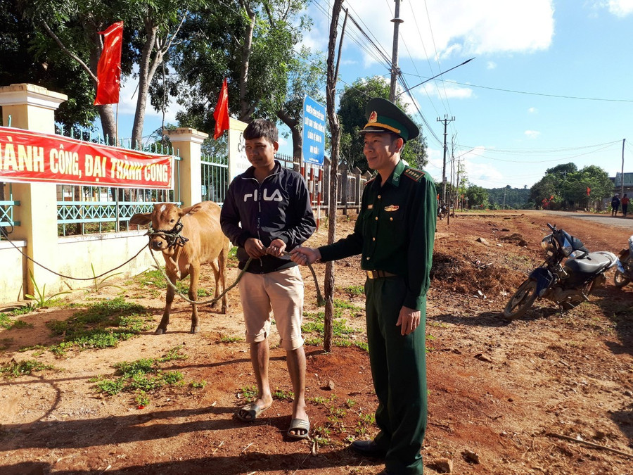 Đồn Biên phòng Ia Púch (huyện Chư Prông) tặng bò cho hộ nghèo làng Chư Kó. Ảnh: Vĩnh Hoàng