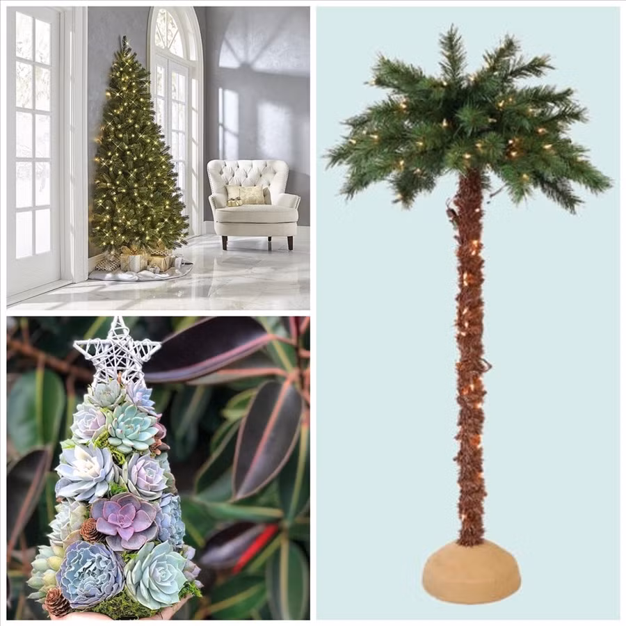 Các sản phẩm cây trang trí Noel mới lạ giúp người tiêu dùng có nhiều lựa chọn hơn, thoải mái thể hiện được cá tính. Đồ họa: Phương Duy