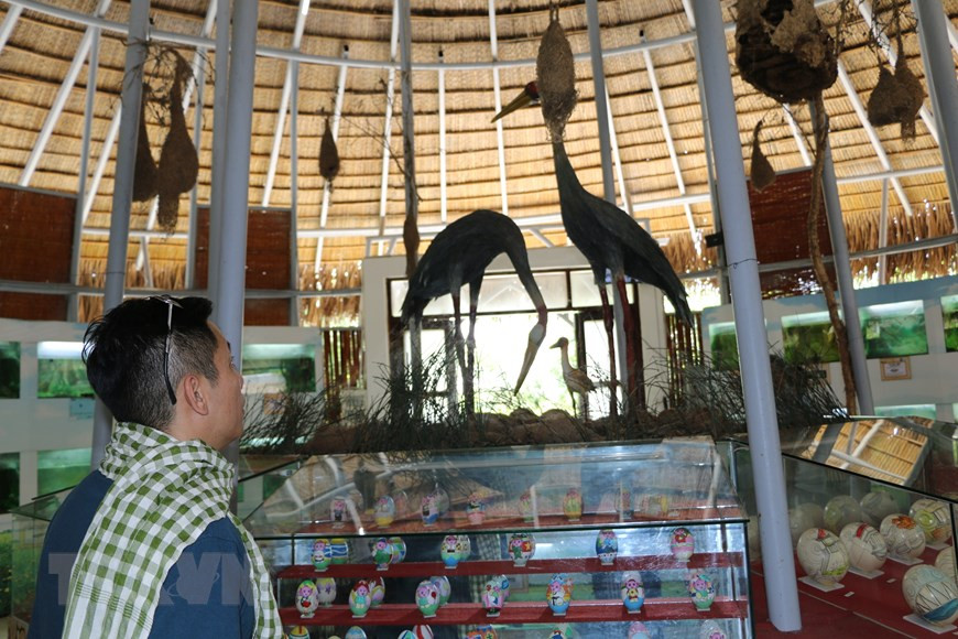 Khách tham quan nhà trưng bày trứng chim và cá nước ngọt trưng bày 130 loài trứng chim, 52 loài cá nước ngọt tiêu biểu của Vườn quốc gia Tràm Chim. (Ảnh: Chương Đài/TTXVN) Khách tham quan nhà trưng bày trứng chim và cá nước ngọt trưng bày 130 loài trứng chim, 52 loài cá nước ngọt tiêu biểu của Vườn quốc gia Tràm Chim. (Ảnh: Chương Đài/TTXVN)