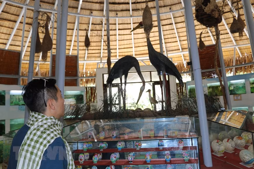 Khách tham quan nhà trưng bày trứng chim và cá nước ngọt trưng bày 130 loài trứng chim, 52 loài cá nước ngọt tiêu biểu của Vườn quốc gia Tràm Chim. (Ảnh: Chương Đài/TTXVN)