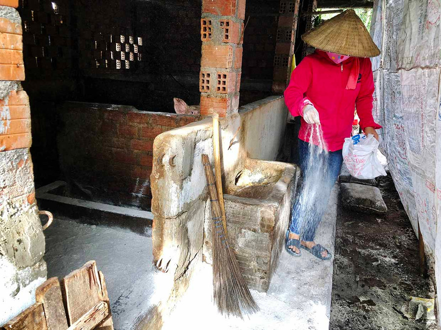 Người dân phường Cheo Reo (thị xã Ayun Pa) rắc vôi khử trùng khu vực chăn nuôi sau khi đàn heo bị bệnh dịch tả heo châu Phi. Ảnh: Lê Nam