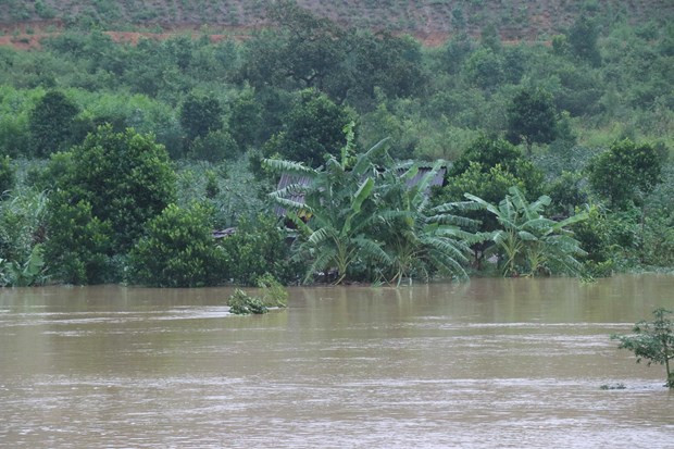 Mưa lớn, nước trong khu vực lòng hồ công trình thủy lợi Krông Pách Thượng có nguy cơ làm ngập lụt hàng trăm hộ dân xã Cư San, huyện M' Đrắk, tỉnh Đắk Lắk. (Ảnh: Anh Dũng/TTXVN)