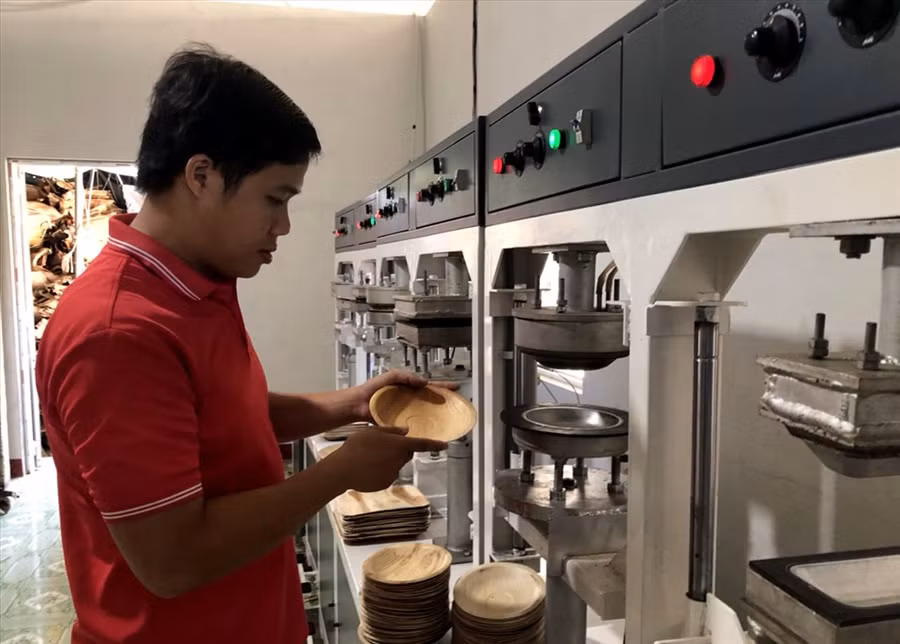 Sinh ra trong gia đình có xưởng sản xuất xơ dừa, từ bé Nguyễn Sơn Tịnh (sinh năm 1991) đã may mắn được tiếp xúc và làm việc với các đối tác nước ngoài. Ảnh: S.T