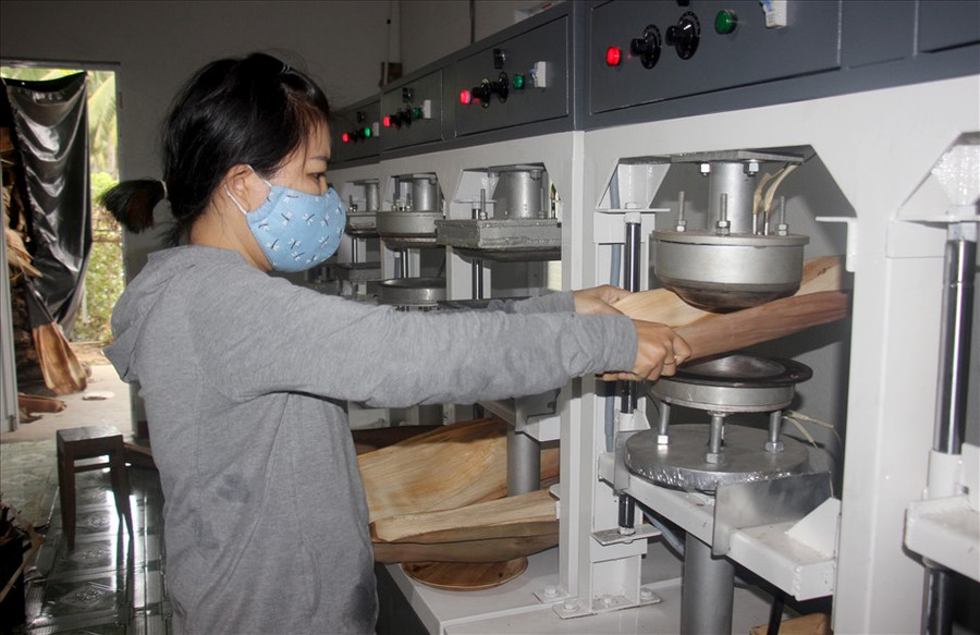 Cơ sở chế biến mo cau của Tịnh không chỉ giúp người dân địa phương có thêm nguồn thu từ bán phế phẩm mo cau mà còn tạo việc làm thường xuyên cho nhiều lao động địa phương. Ảnh: A.T Cơ sở chế biến mo cau của Tịnh không chỉ giúp người dân địa phương có thêm nguồn thu từ bán phế phẩm mo cau mà còn tạo việc làm thường xuyên cho nhiều lao động địa phương. Ảnh: A.T