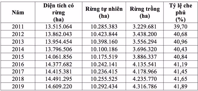 Theo đó, từ năm 2011 - 2019, diện tích rừng tăng hơn 1 triệu đồng, từ hơn 13,5 triệu ha năm 2011 lên hơn 14,6 triệu ha vào năm 2019, trung bình mỗi năm tăng 121.684 ha rừng.