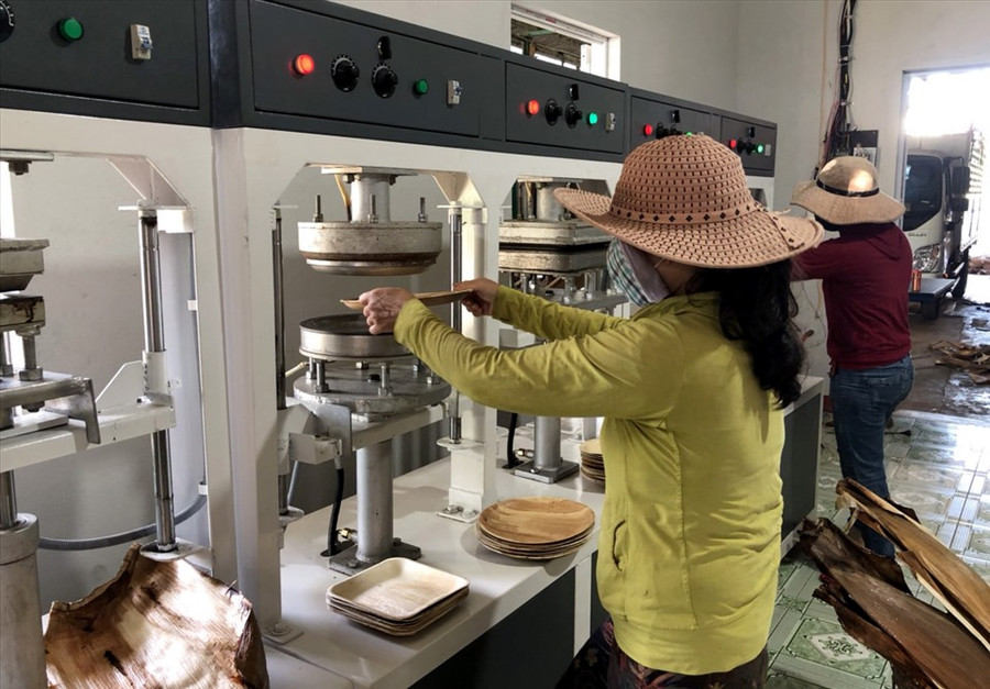 Qua tìm hiểu, anh biết được ở Ấn Độ, người dân tận dụng bẹ cây cau để sản xuất thành các loại bát, đĩa, cốc... vô cùng độc đáo. Do vậy, chàng trai xứ Nẫu ấp ủ ý tưởng “biến” mo cau thành những vật dụng hữu ích trong sinh hoạt hàng ngày. Ảnh: S.T Qua tìm hiểu, anh biết được ở Ấn Độ, người dân tận dụng bẹ cây cau để sản xuất thành các loại bát, đĩa, cốc... vô cùng độc đáo. Do vậy, chàng trai xứ Nẫu ấp ủ ý tưởng “biến” mo cau thành những vật dụng hữu ích trong sinh hoạt hàng ngày. Ảnh: S.T