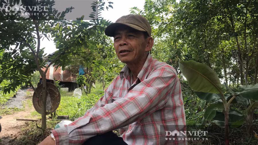 Ông Huỳnh Văn Hiệp, xã Phước An, huyện Nhơn Trạch (tỉnh Đồng Nai) kể vào năm 2013, ông tình cờ xem được mô hình trồng dưa hấu leo giàn trên mạng internet. Dưa hấu leo giàn trồng thử nghiệm ở miền Tây. Đó là mô hình giàn treo theo dạng chữ A và trái được cho nằm phía ngoài đón nắng đón gió.