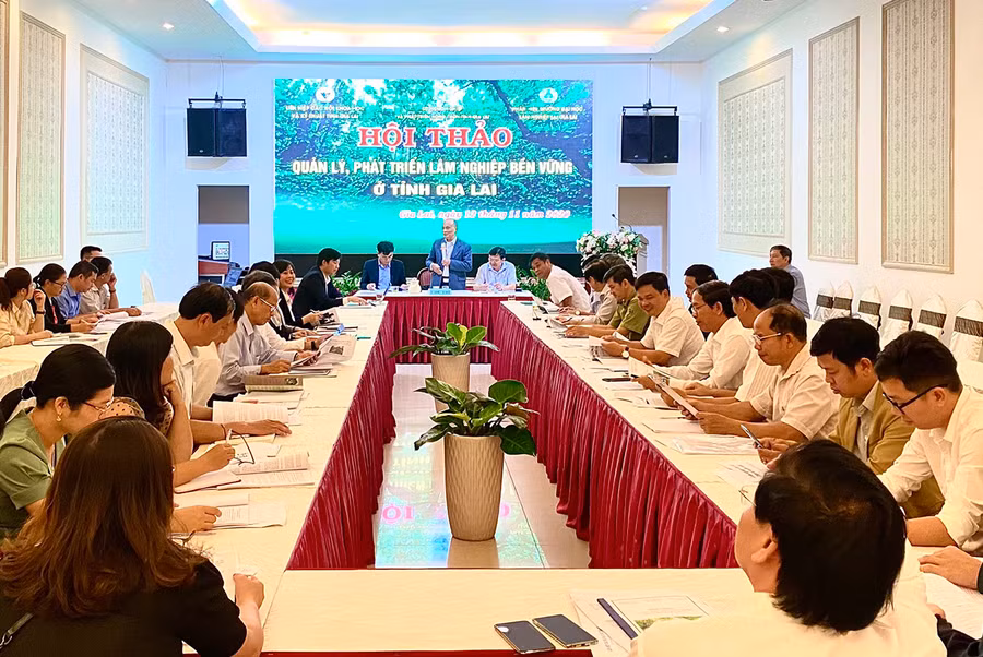  Quang cảnh hội thảo. Ảnh: Hồng Thi