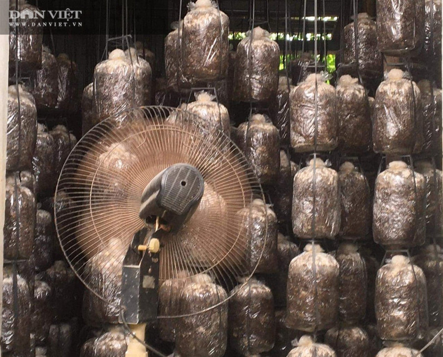 Dùng quạt để cho nhiệt độ ổn định Dùng quạt để cho nhiệt độ ổn định