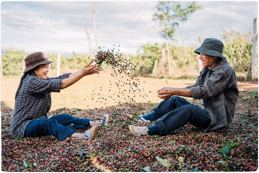  Vui đùa trên rẫy cà phê. Ảnh: Lưu Xuân Đức