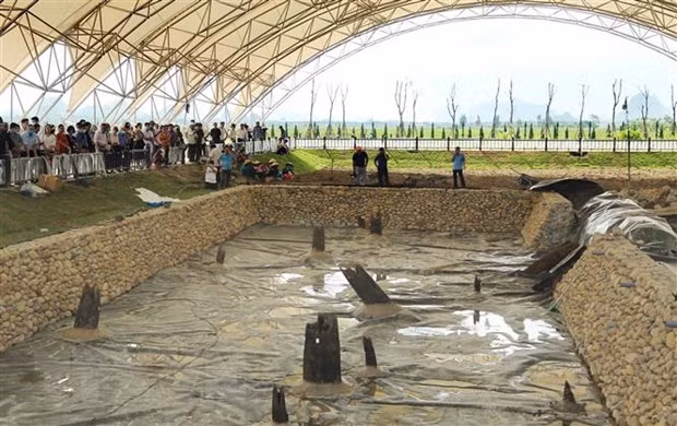  Các nhà khoa học, khảo cổ học tham quan bãi cọc Cao Quỳ. (Ảnh: An Đăng/TTXVN)