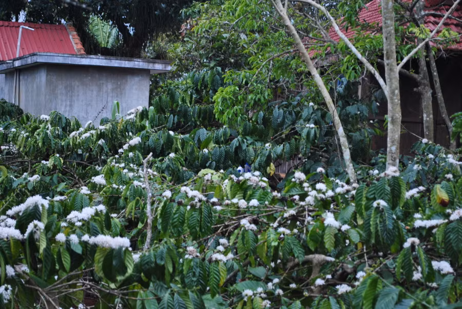 Ảnh: Bích Hà Ảnh: Bích Hà