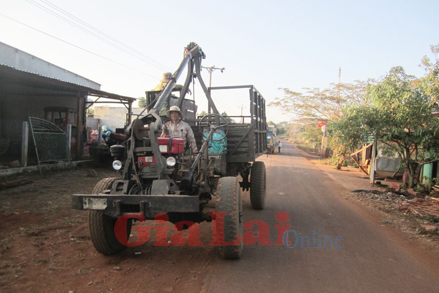 Ảnh: Hồng Sơn Ảnh: Hồng Sơn