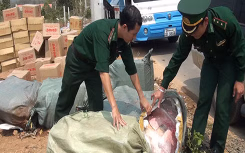 Kiểm tra nội tạng hôi thối.