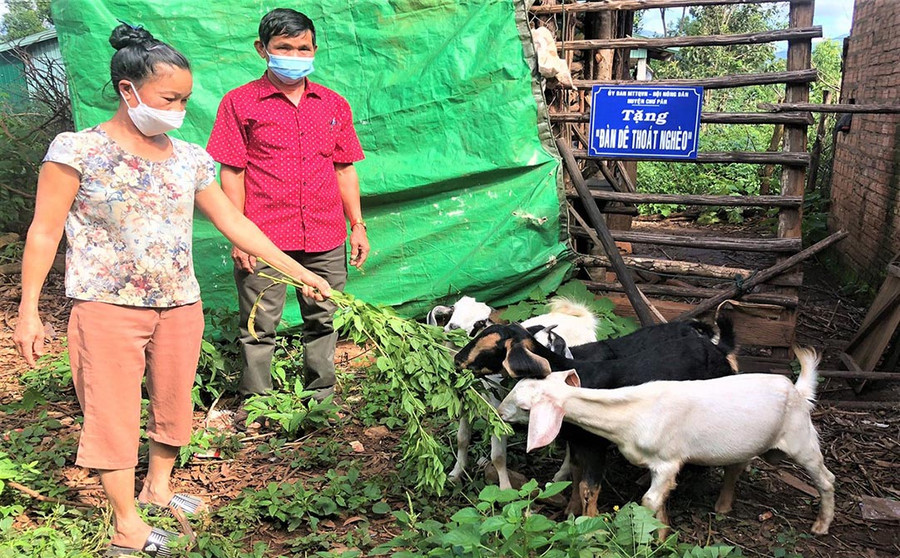 Hội Nông huyện Chư Păh thường xuyên phối hợp với Ủy ban MTTQ Việt Nam huyện hỗ trợ sinh kế cho hội viên. Ảnh: Anh Huy