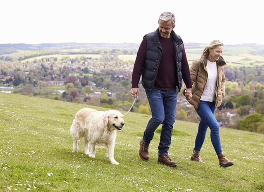 Cách tốt nhất để người lớn tuổi giảm tới 50% nguy cơ mắc bệnh tim mạch là đi bộ từ 6.000 đến 9.000 bước mỗi ngày. Ảnh: Shutterstock Cách tốt nhất để người lớn tuổi giảm tới 50% nguy cơ mắc bệnh tim mạch là đi bộ từ 6.000 đến 9.000 bước mỗi ngày. Ảnh: Shutterstock