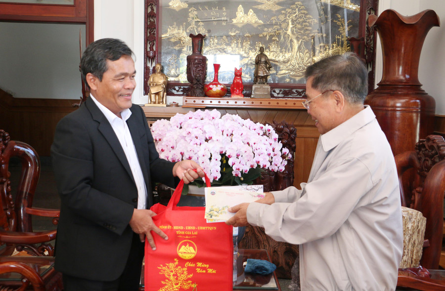 Bí thư Tỉnh ủy Hồ Văn Niên tặng quà, chúc mừng năm mới nguyên Bí thư Tỉnh ủy Hà Sơn Nhin. Ảnh: Quang Tấn