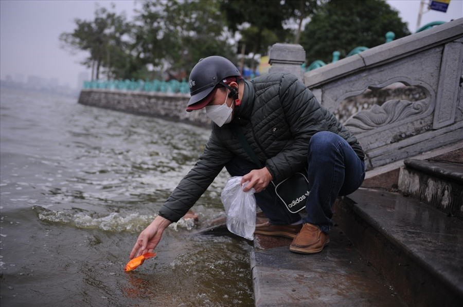 Nhiều người chọn cá chép để thả vào ngày ông Công ông Táo. Ảnh: Thành Đông Nhiều người chọn cá chép để thả vào ngày ông Công ông Táo. Ảnh: Thành Đông