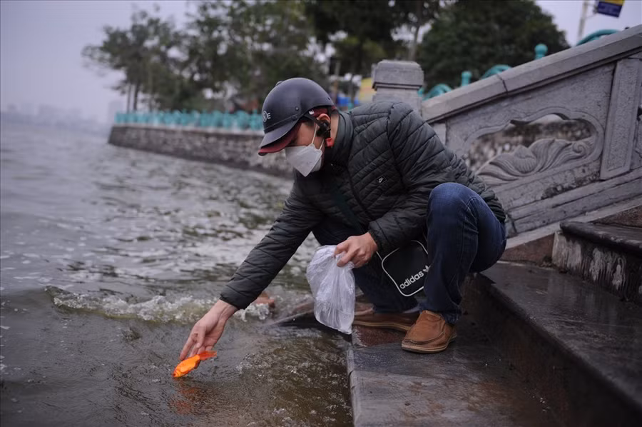 Nhiều người chọn cá chép để thả vào ngày ông Công ông Táo. Ảnh: Thành Đông