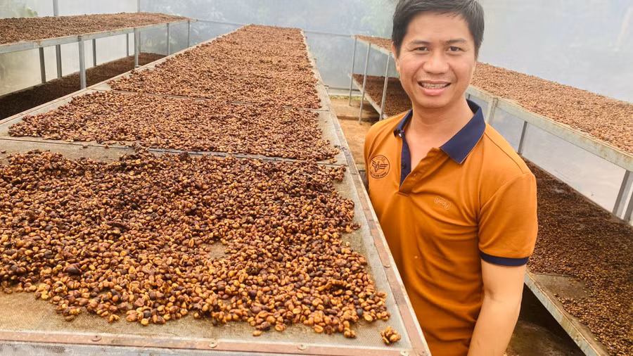 Cà phê là mặt hàng xuất khẩu chủ lực của tỉnh Đắk Lắk.
