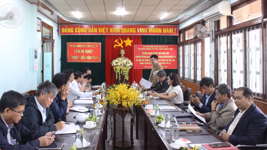 Qnag cảnh buổi làm việc. Ảnh: Nguyễn Diệp