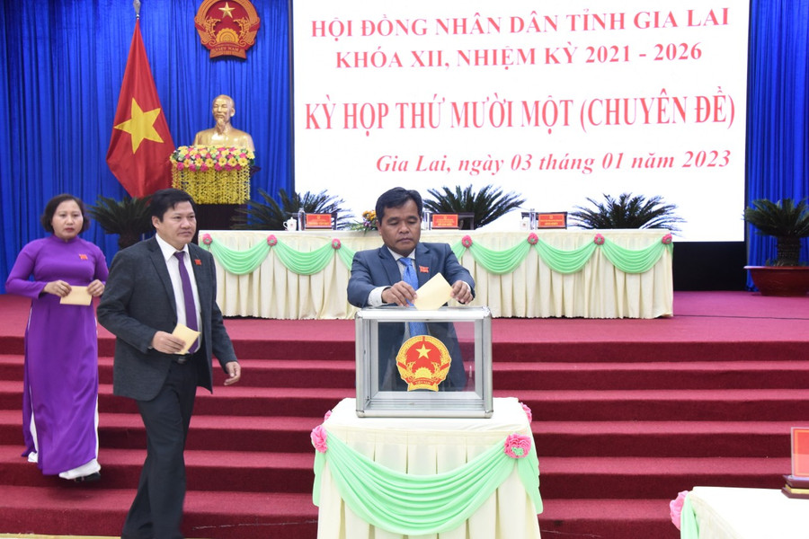 Các đại biểu HĐND tỉnh bỏ phiếu bầu bổ sung 2 Phó Chủ tịch UBND tỉnh. Ảnh: Đức Thụy