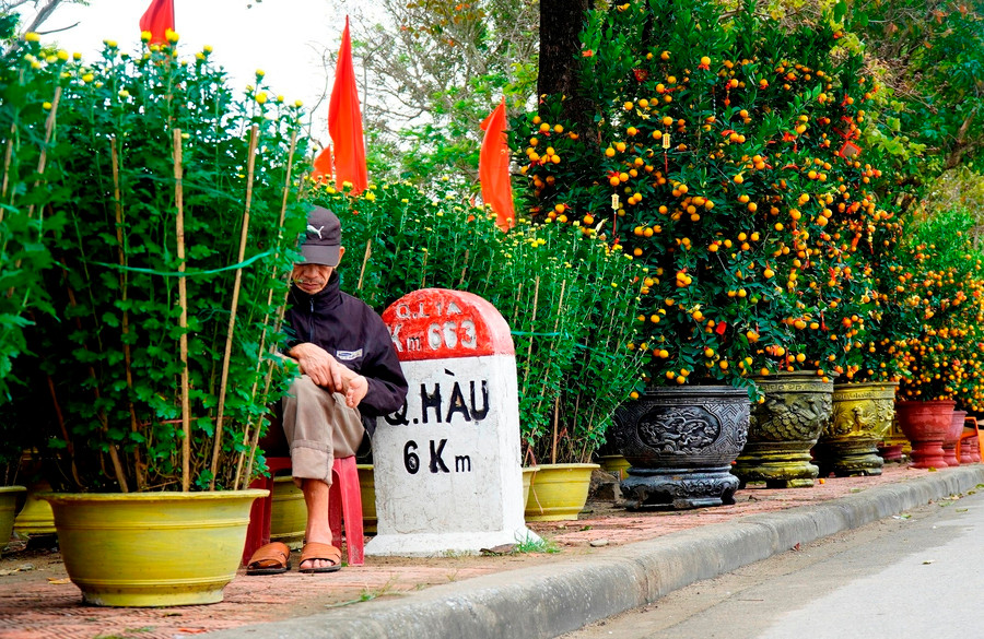  Đã 20 tháng chạp nhưng khu vực hoa tết phía trước quảng trường Hồ Chí Minh (TP.Đồng Hới) vẫn vắng người hỏi mua, chỉ có người bán ngồi chờ. Ảnh: Nguyễn Phúc