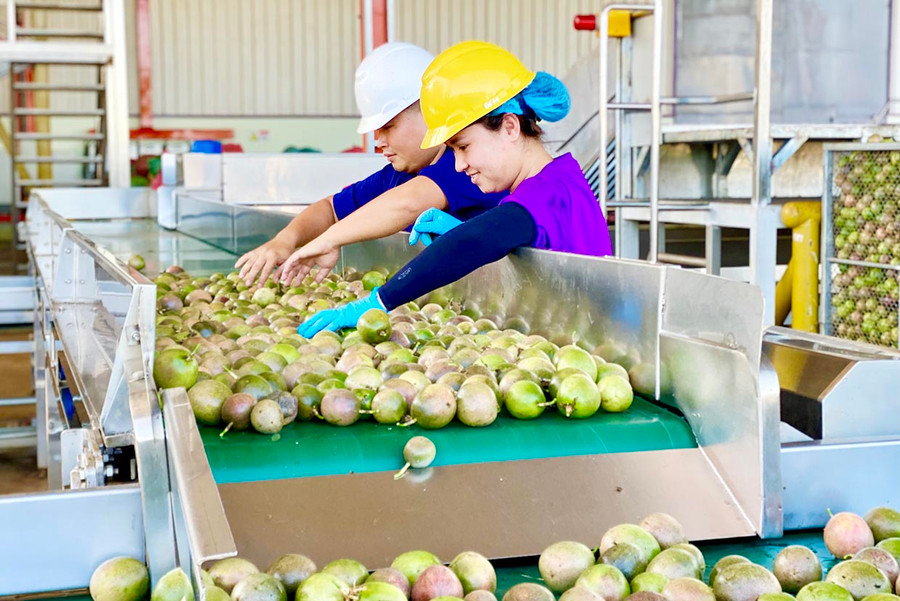 Tỉnh Gia Lai đang triển khai nhiều giải pháp để vận động các hộ kinh doanh chuyển đổi lên doanh nghiệp. Ảnh: Hà Duy Tỉnh đang triển khai nhiều giải pháp để vận động các hộ kinh doanh chuyển đổi lên doanh nghiệp. Ảnh: Hà Duy