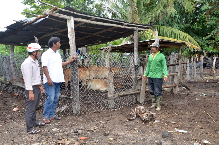 Cán bộ xã Ia Pair (huyện Phú Thiện) hướng dẫn người dân làm chuồng nuôi nhốt đàn bò. Ảnh: Trần Đức