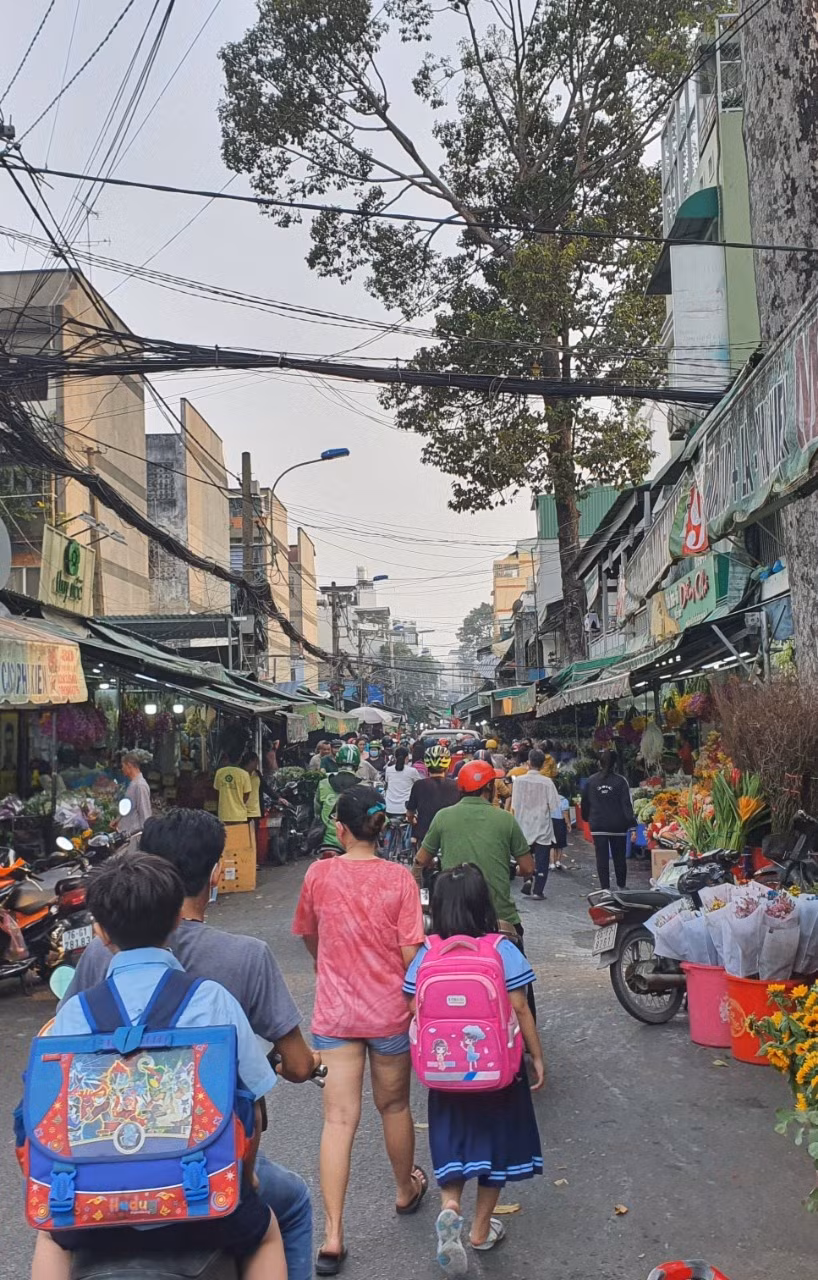 Phố hoa Hồ Thị Kỷ trước tết. Ảnh Bảo Vy