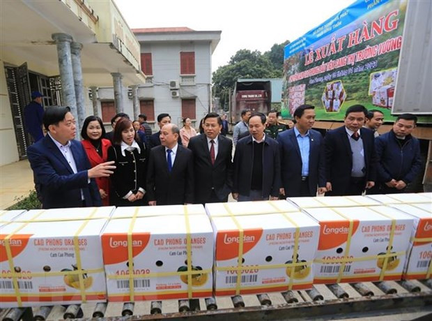 Các đại biểu tham quan dây chuyền vận chuyển sản phẩm cam Cao Phong tại Công ty Trách nhiệm hữu hạn Một thành viên Cao Phong. (Ảnh: Trọng Đạt/TTXVN) Các đại biểu tham quan dây chuyền vận chuyển sản phẩm cam Cao Phong tại Công ty Trách nhiệm hữu hạn Một thành viên Cao Phong. (Ảnh: Trọng Đạt/TTXVN)