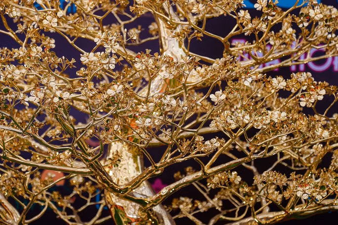  Thân cây dáng rồng, uốn lượn hình chữ S.