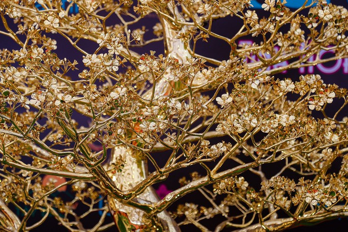  Thân cây dáng rồng, uốn lượn hình chữ S.