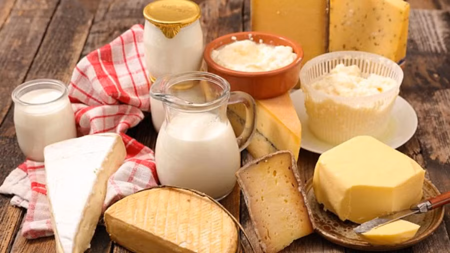 Loại ung thư có đột biến gien IDH1 không thể phát triển nếu không có chất béo - có trong các loại thực phẩm như bơ và kem. Ảnh: Shutterstock