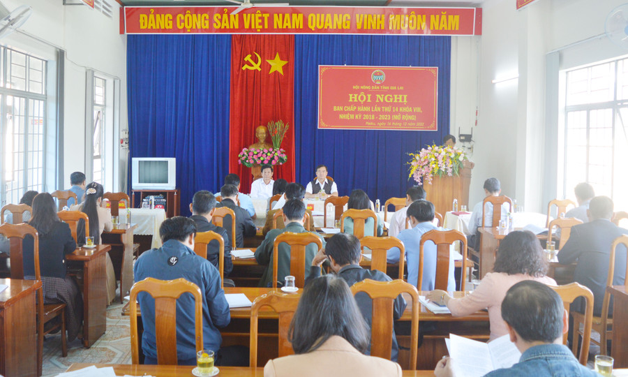 Quang cảnh Hội nghị Ban Chấp hành Hội Nông dân tỉnh lần thứ 14 khóa VIII, nhiệm kỳ 2018-2023 (mở rộng). Ảnh: Anh Huy