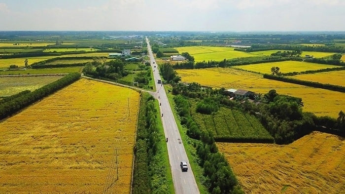 Ảnh minh họa. Ảnh minh họa.