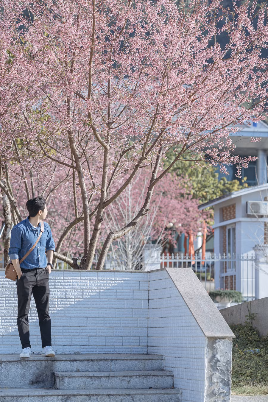 Vũ Quang Kiên, sinh năm 1995, sống tại Mộc Châu, thường thực hiện những bộ ảnh 