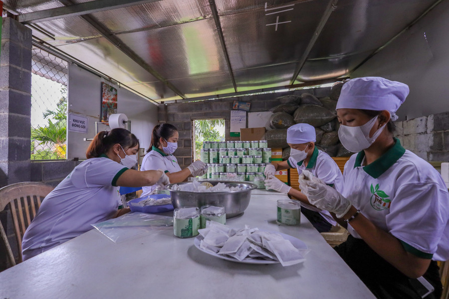 Cơ sở Trà thảo mộc Cô Ngát Natural tạo việc làm cho nhiều lao động địa phương và các em khuyết tật.