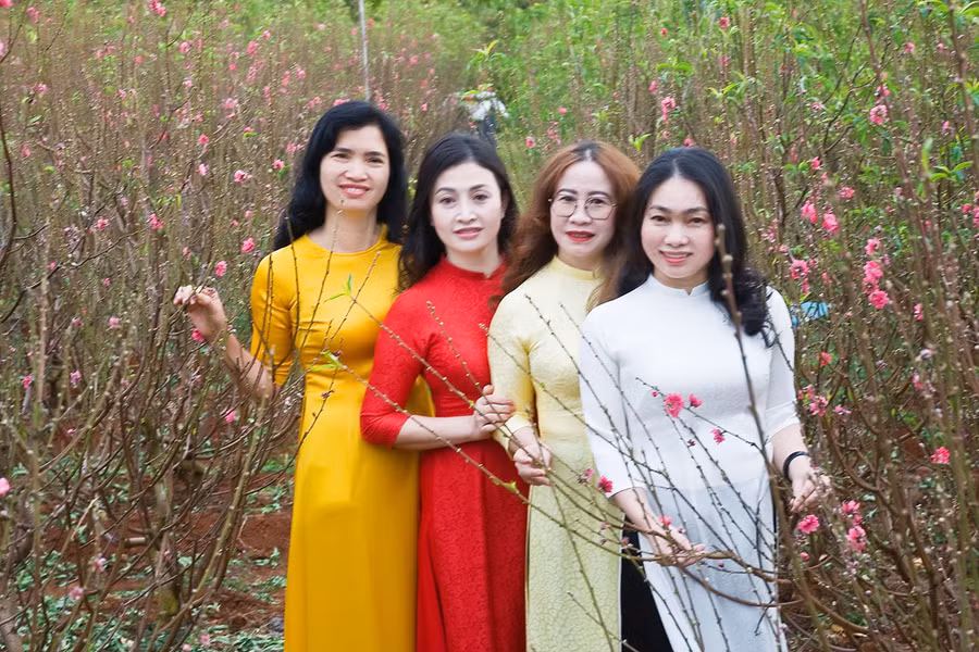  Du khách chụp hình tại vườn hoa đào. Ảnh: Huy tịnh