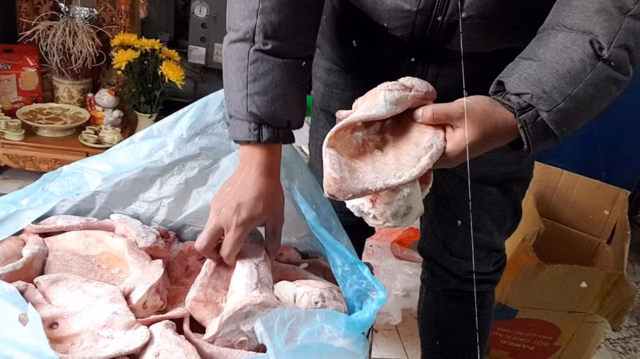 Thịt đông lạnh mất an toàn thực phẩm. Ảnh: LĐO Thịt đông lạnh mất an toàn thực phẩm. Ảnh: LĐO